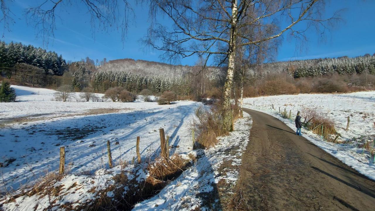 Enjoy Winterberg Διαμέρισμα Εξωτερικό φωτογραφία