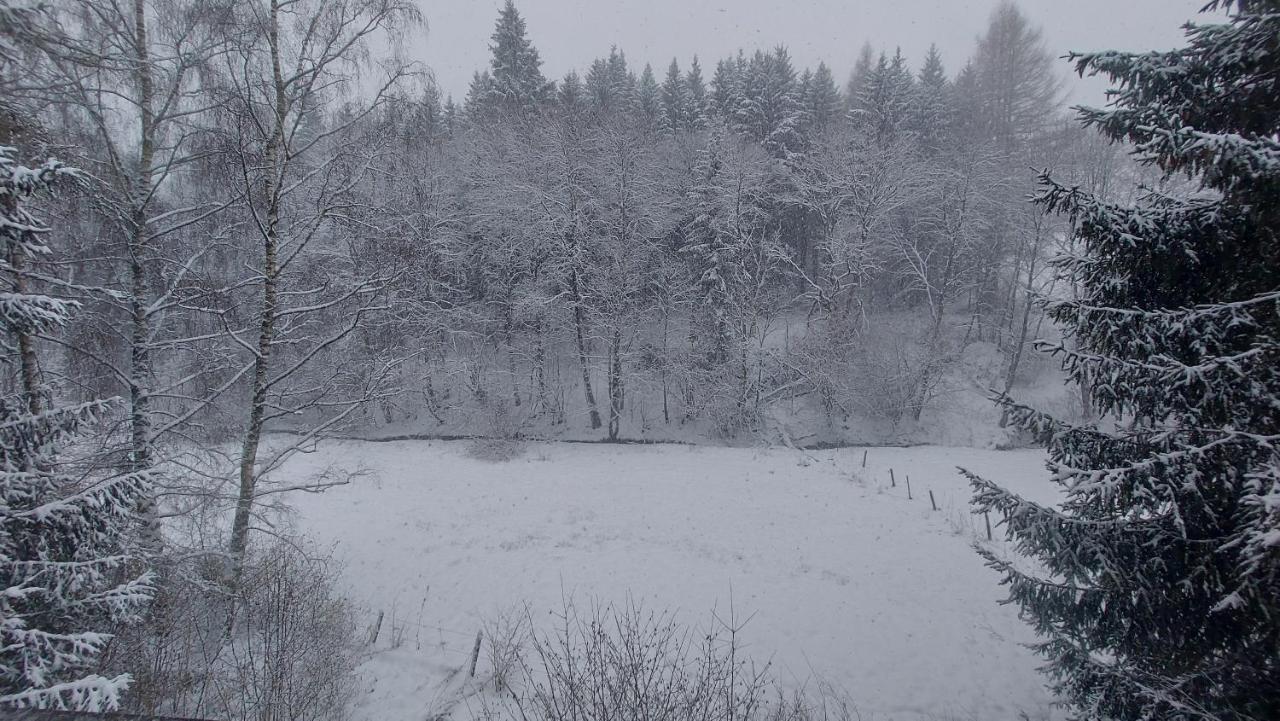 Enjoy Winterberg Διαμέρισμα Εξωτερικό φωτογραφία